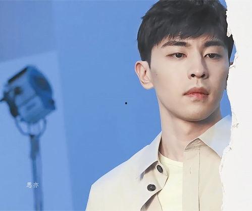 帅气男明星照片,探寻帅气男明星的独特风采
