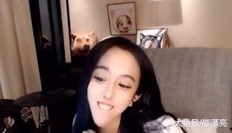 锥子脸女主播,网络红人的崛起与争议