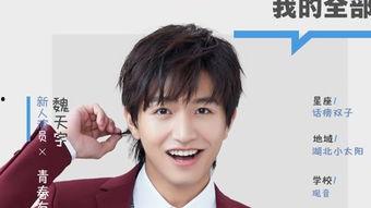 天宇的明星,闪耀星辰的璀璨故事